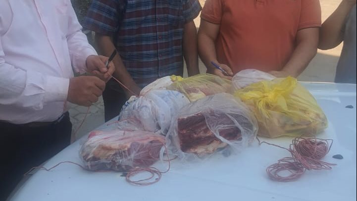 حملات تفتشية