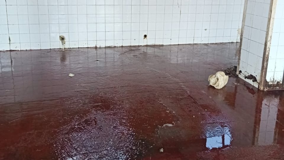مجازر كفر الشيخ 