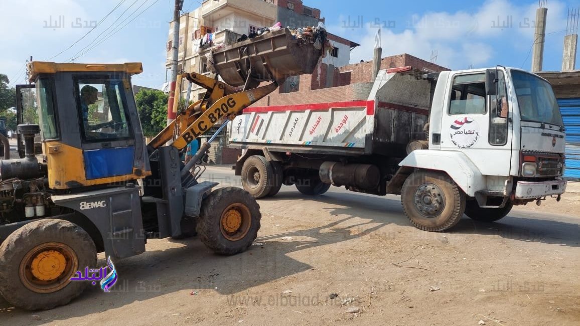 جانب من الفعاليات 
