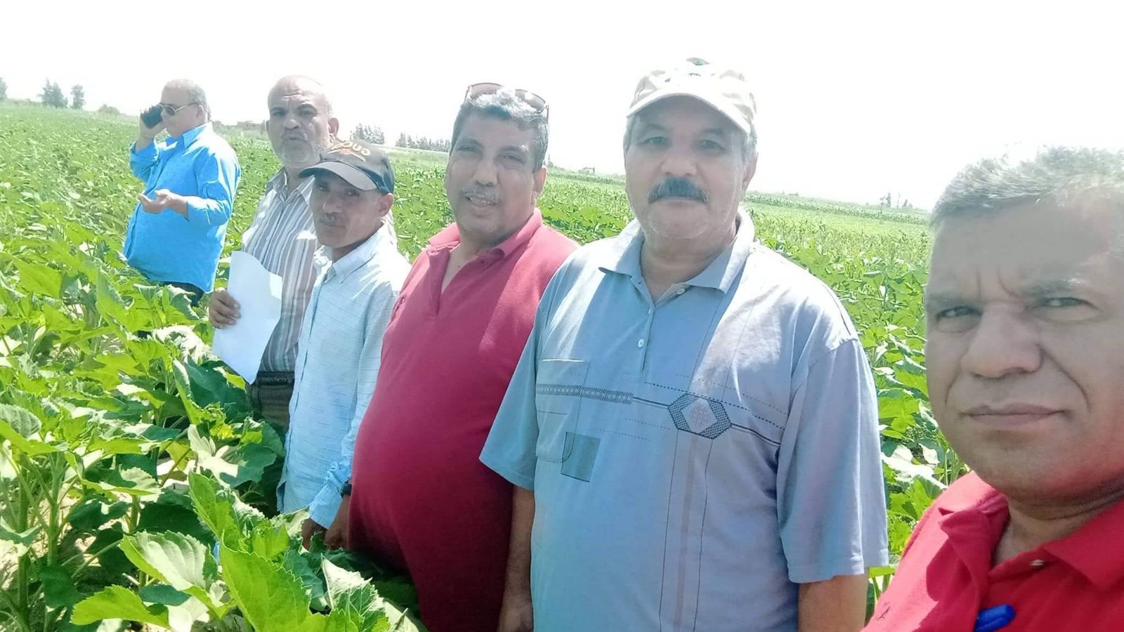 زراعة الإسماعيلية