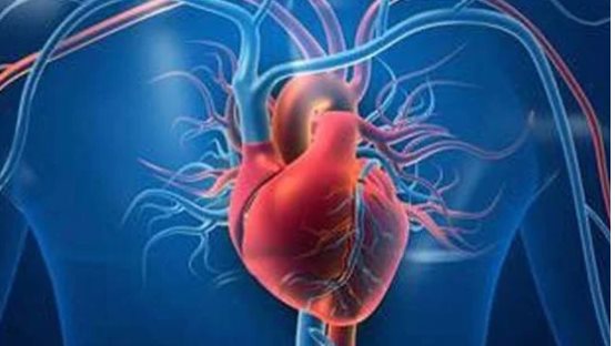 امراض القلب