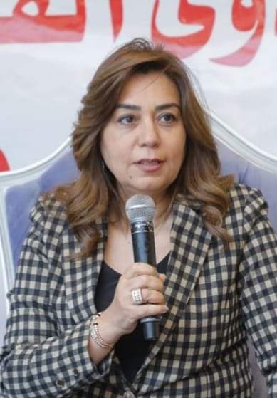 محافظ دمياط 