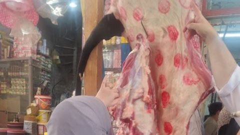 بيطري الشرقية