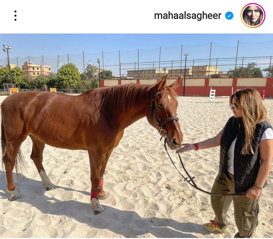 IMG_٢٠٢٢٠٧٠١_١٤٣٧١١