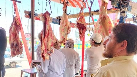 تموين الشرقية