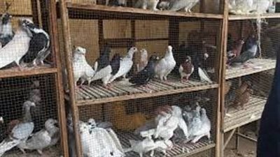 سوق السيدة عائشة - أرشيفية