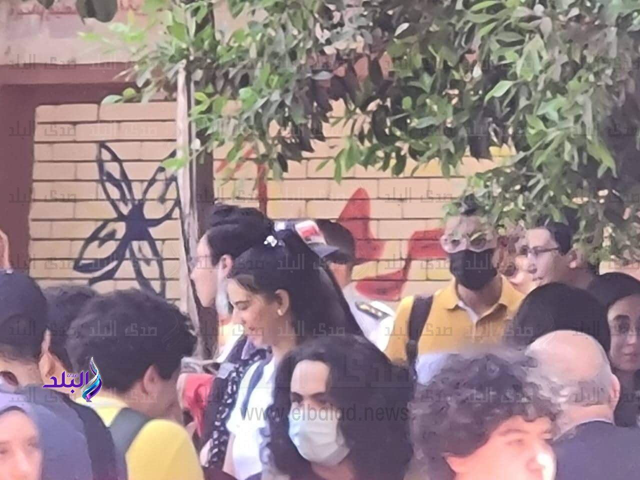 received_3771324616324524