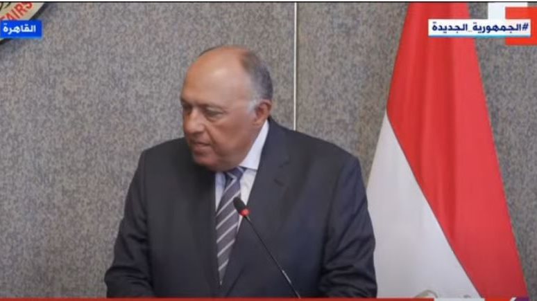 سامح شكرى وزير الخارجية 