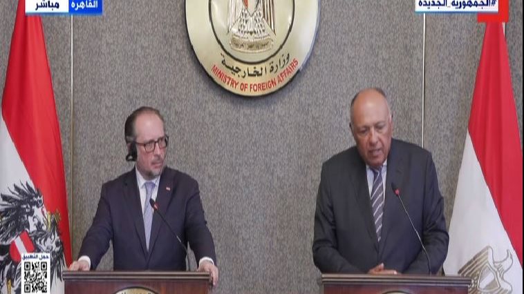 وزير الخارجية ونظيره النمساوى 