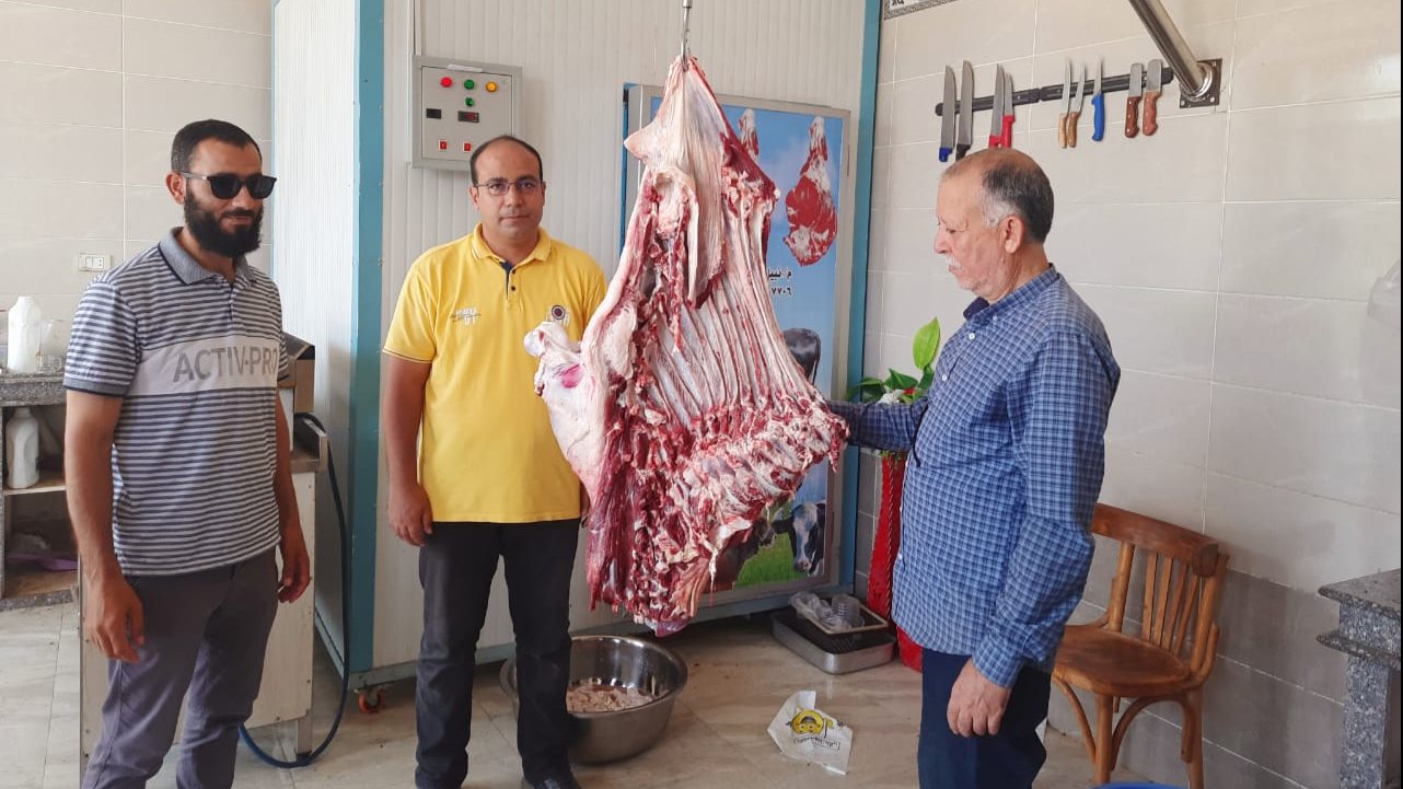 حملة تمونية