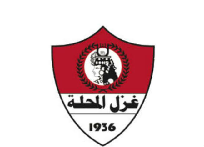 شركة غزل المحلة 
