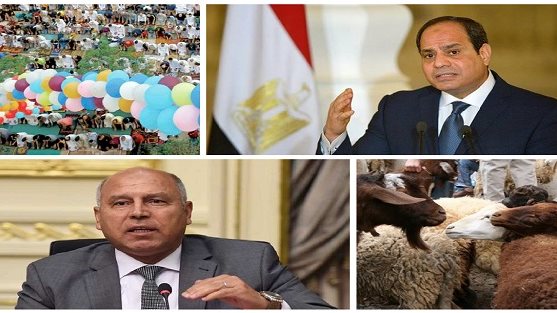 أخبار التوك شو