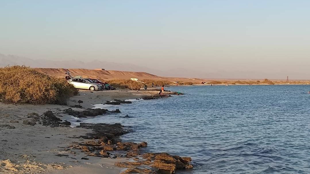 راس راية 