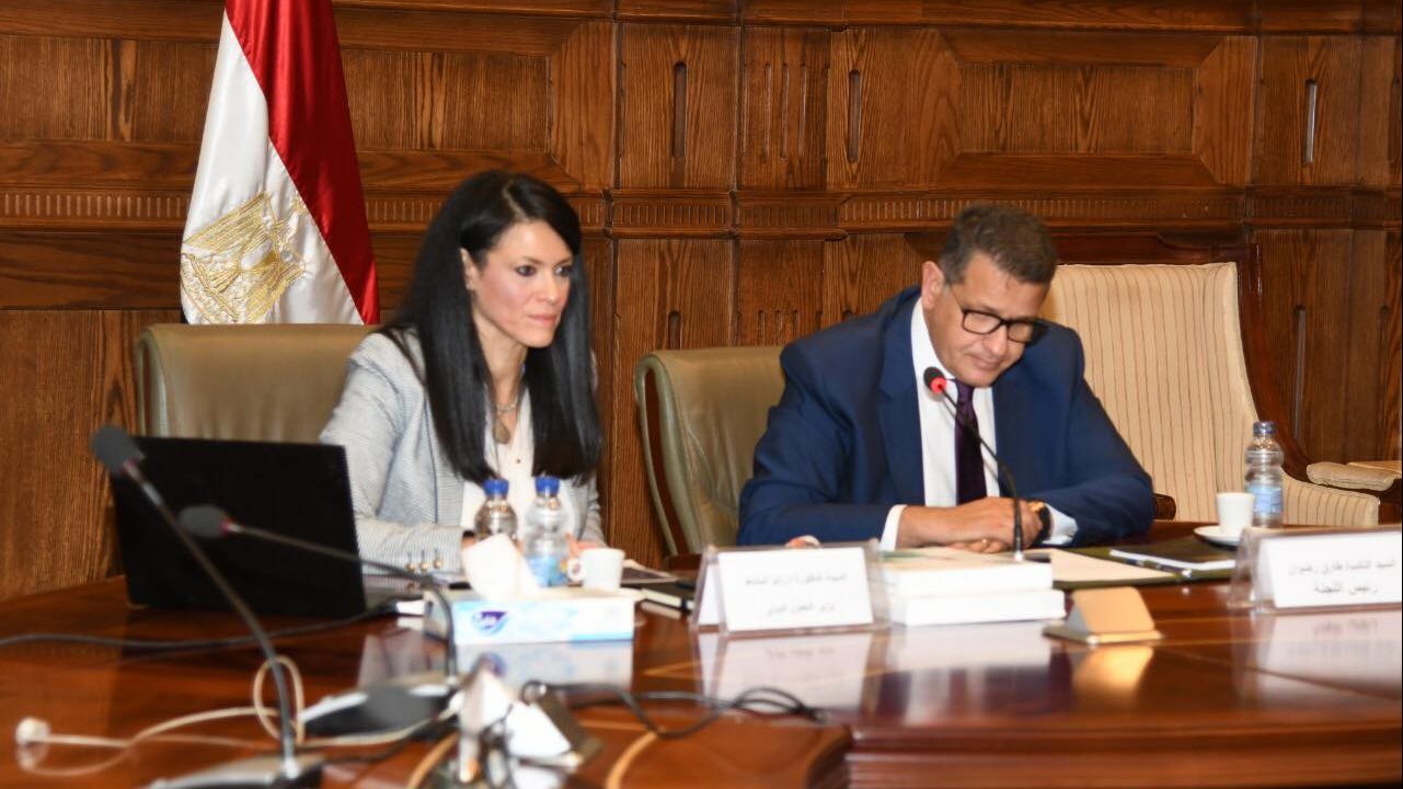 رانيا المشاط وزيرة التعاون الدولى بلجنة حقوق إنسان البرلمان