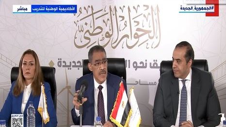 ضياء رشوان، المنسق العام للحوار الوطني
