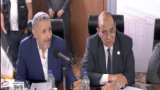 نجاد البرعي، المحامي الحقوقي