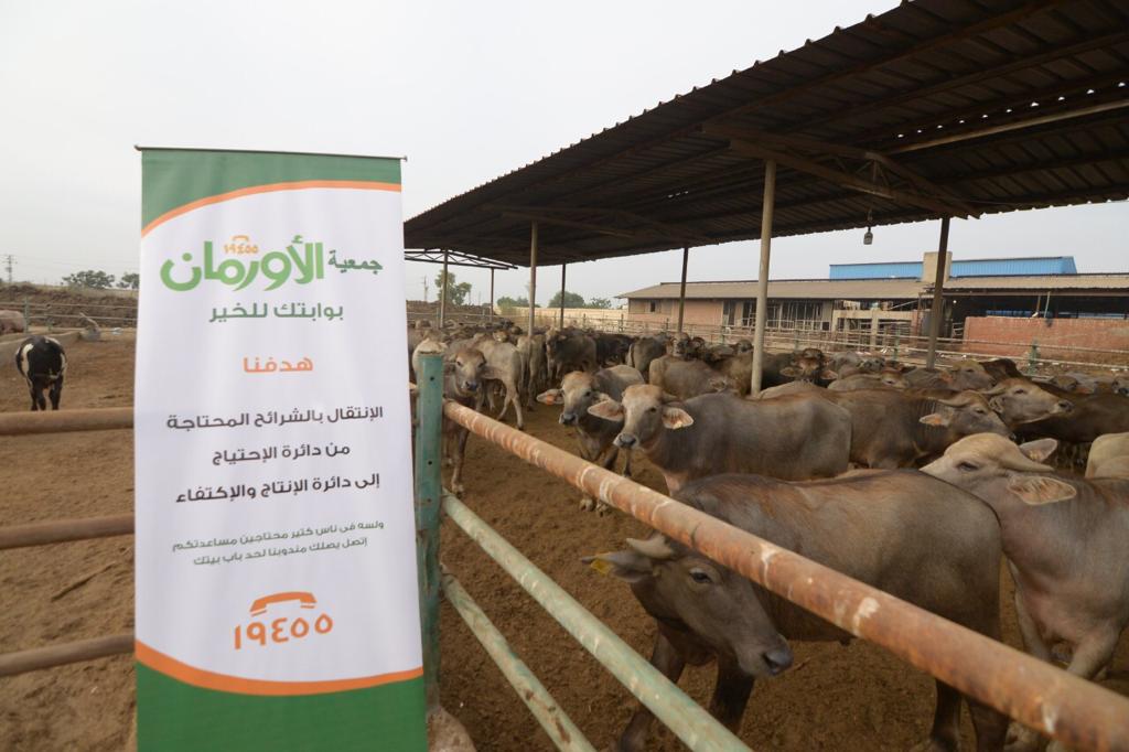 توزيع لحوم الأضاحي 