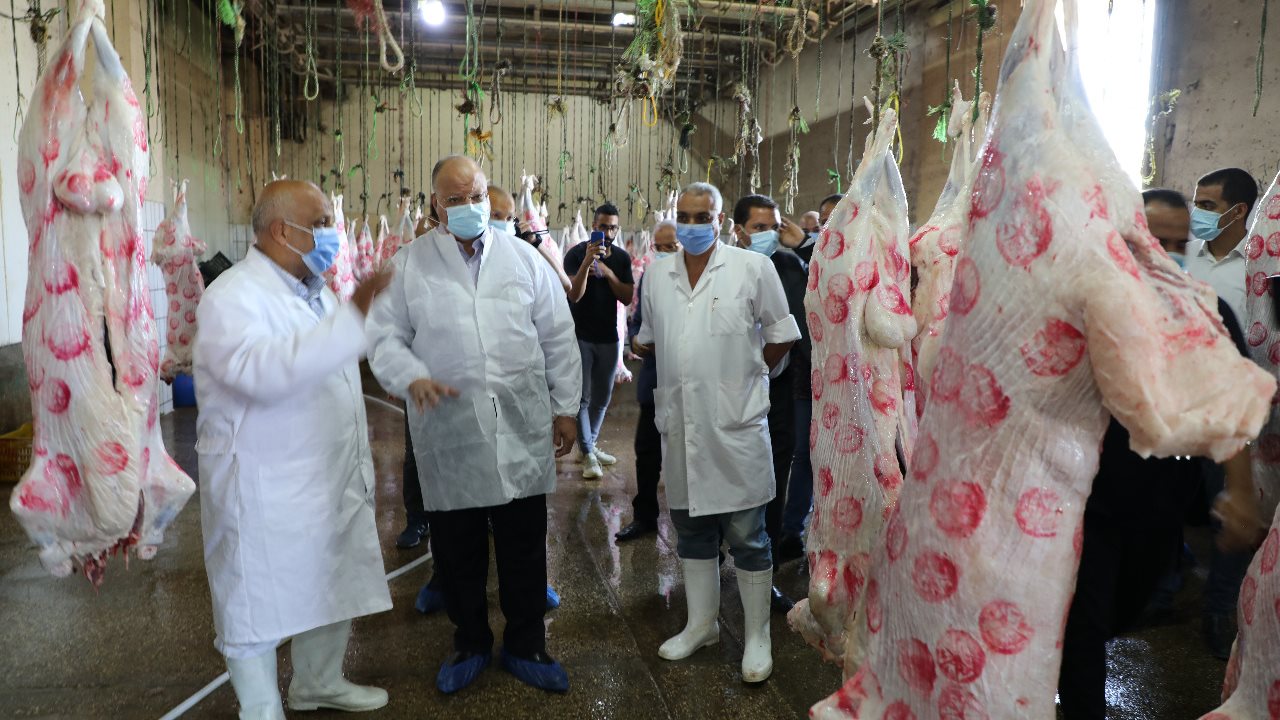 محافظ القاهرة خلال الجولة