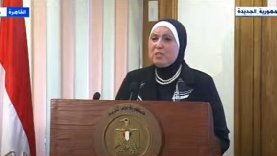  نيفين جامع، وزيرة التجارة والصناعة