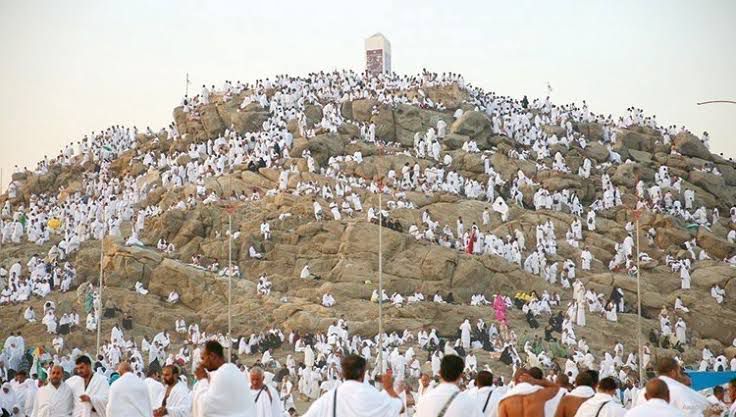 تصعيد الحجاج 
