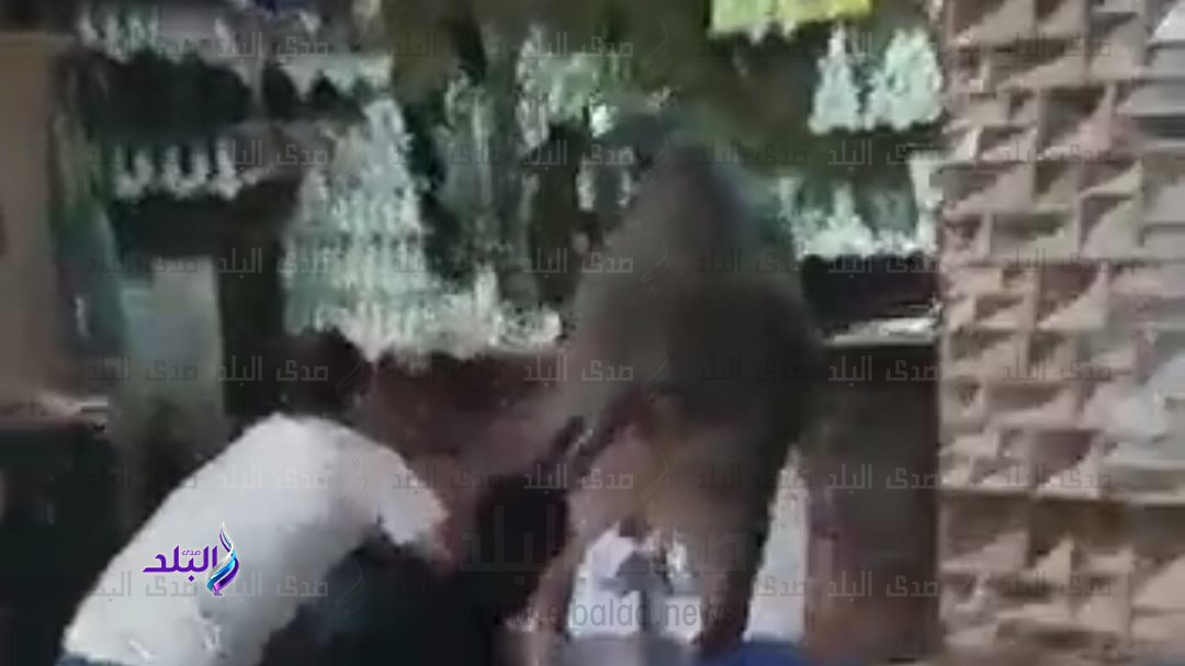 عجل هارب من النحر يقتحم كافتيريا 