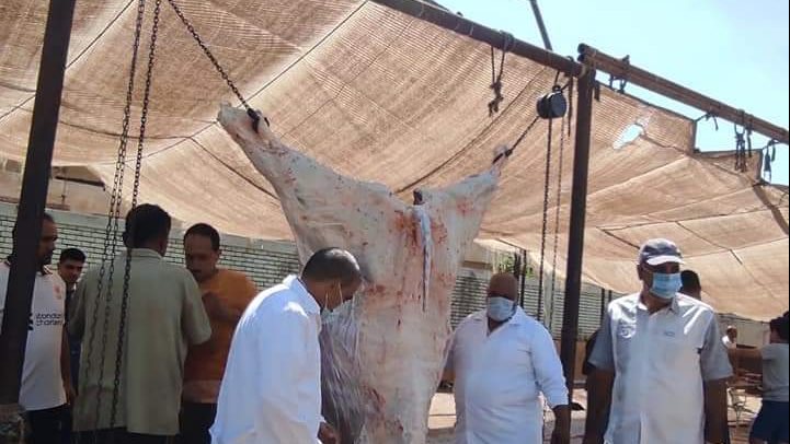 صوره من المجزر