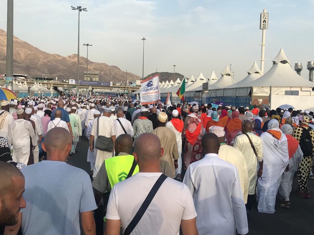 حجاج السياحة 