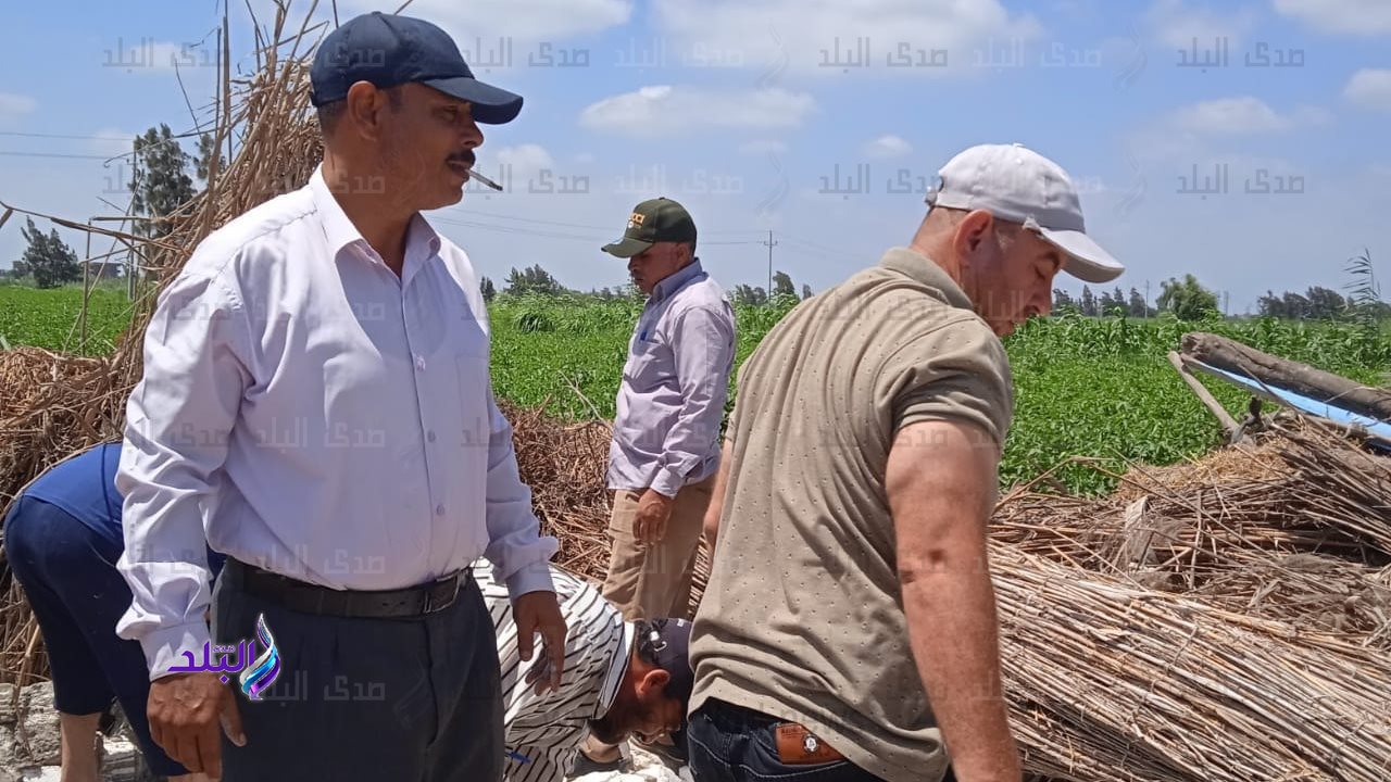 إزالة تعديات 