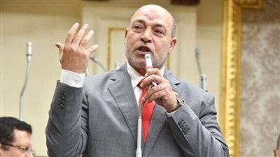  المهندس حسن المير عضو مجلس النواب