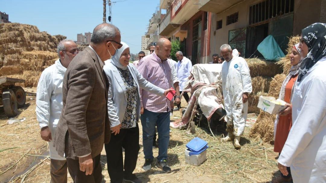 جانب من الجولة جانب من الجولة