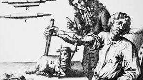 أول عملية نقل دم ناجحة في التاريخ