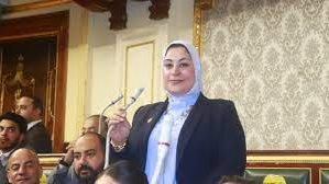 النائبة ولاء التمامي عضو مجلس النواب