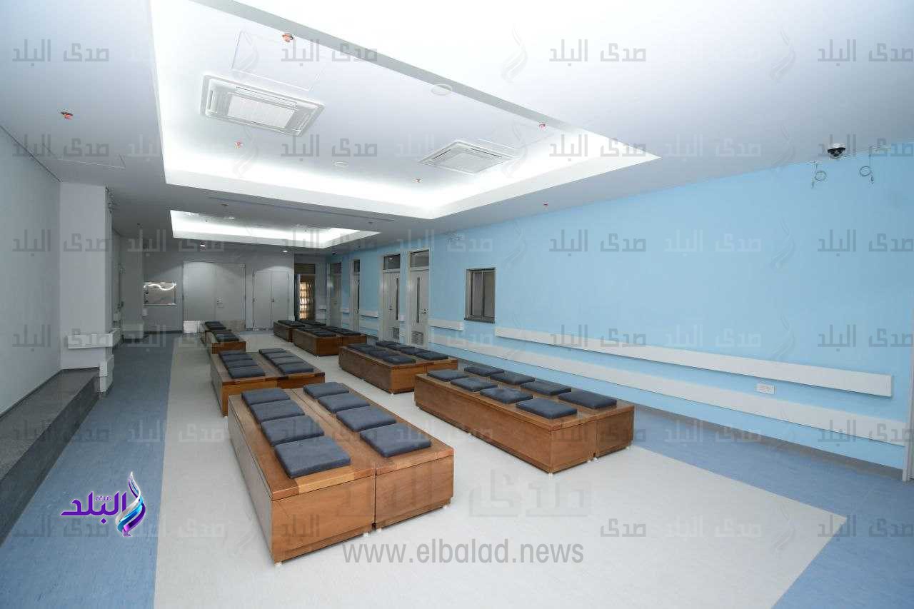 جامعة القاهرة