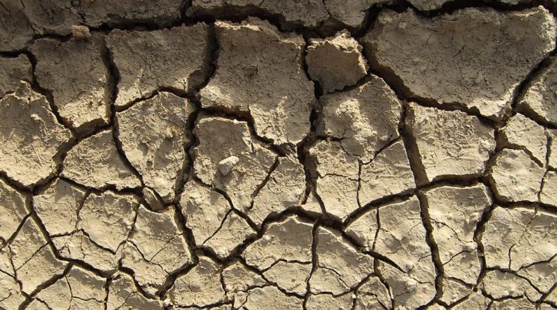الجفاف يهدد الاتحاد الاوروبي