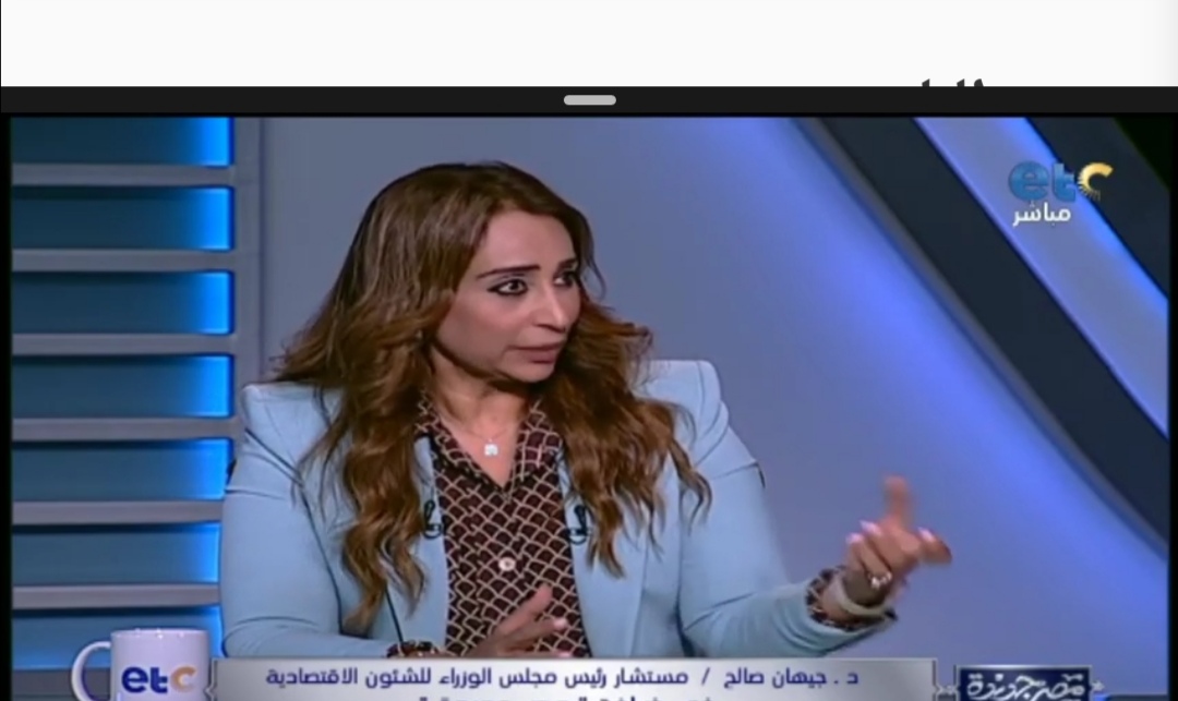 جيهان صالح المستشار الاقتصادي لرئيس مجلس الوزراء 