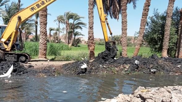 حملات التطهير مستمرة بالفيوم