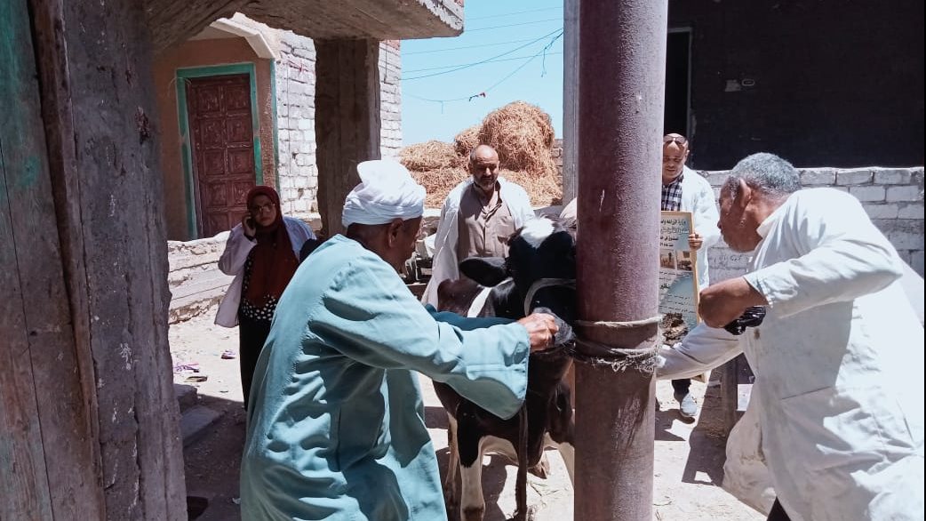 الطب البيطرى 