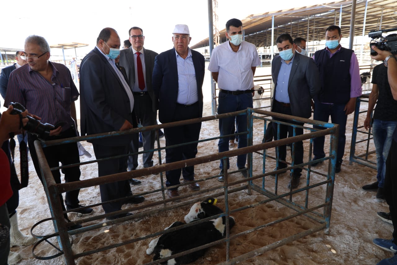 وزير الزراعة فى النوبارية 