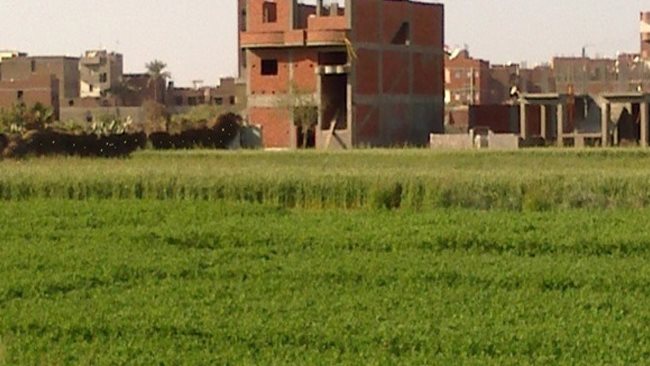 مخالفات البناء 