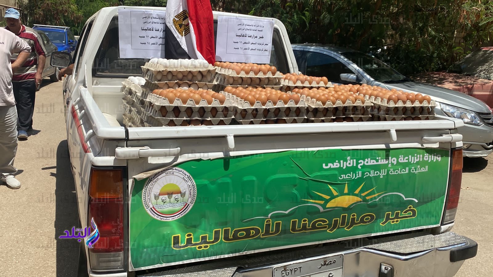 البيض