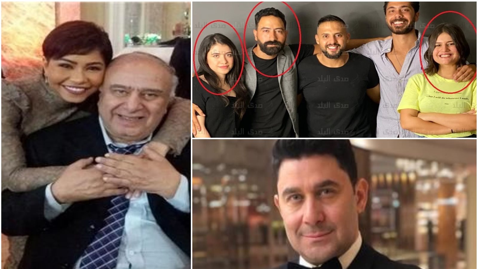 أخبار الفن