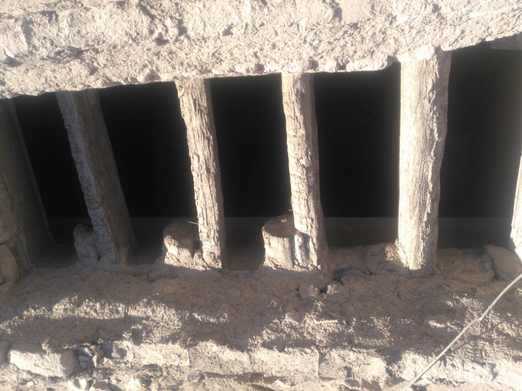 IMG_20180515_160318_١١٣١٤٥