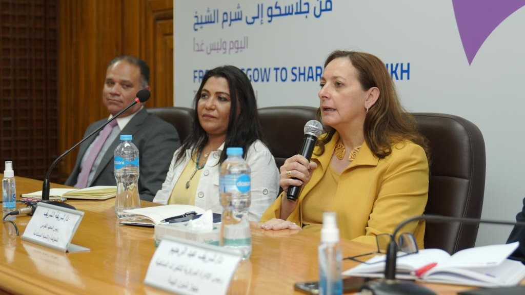 الدكتورة شريفة شريف المدير التنفيذي للمعهد القومى للحوكمة