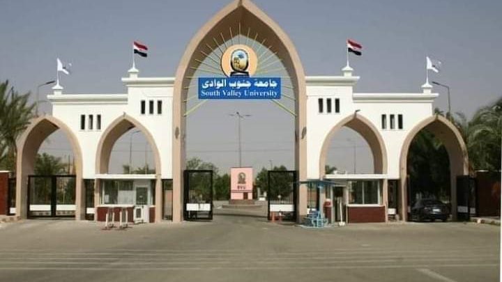 جامعة جنوب الوادى