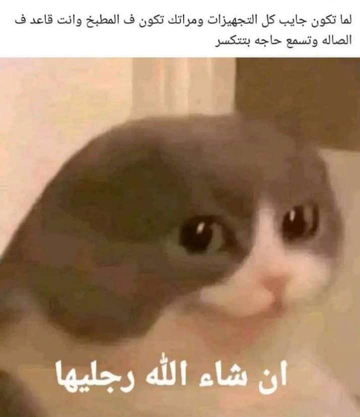 ترند القايمة