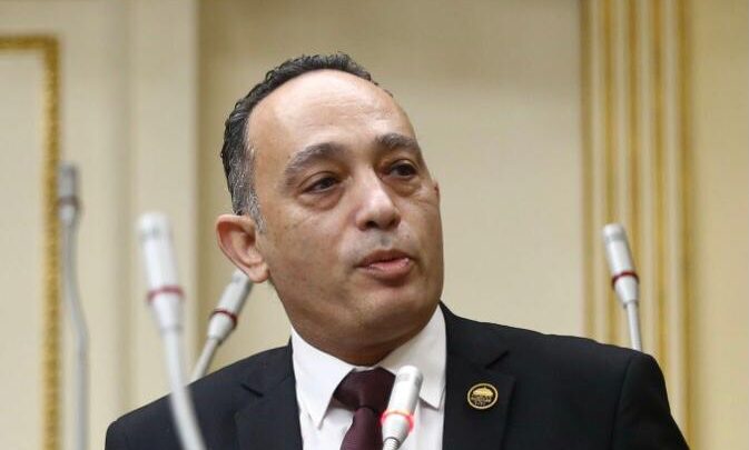 الدكتور فريدى البياضى عضو مجلس النواب