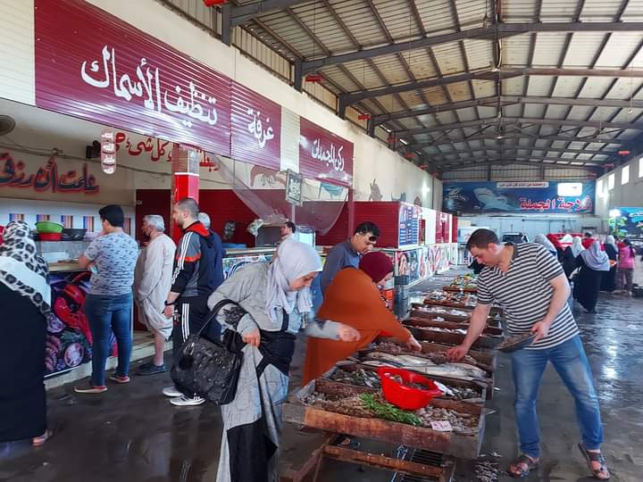 شادر السمك في المنوفية 