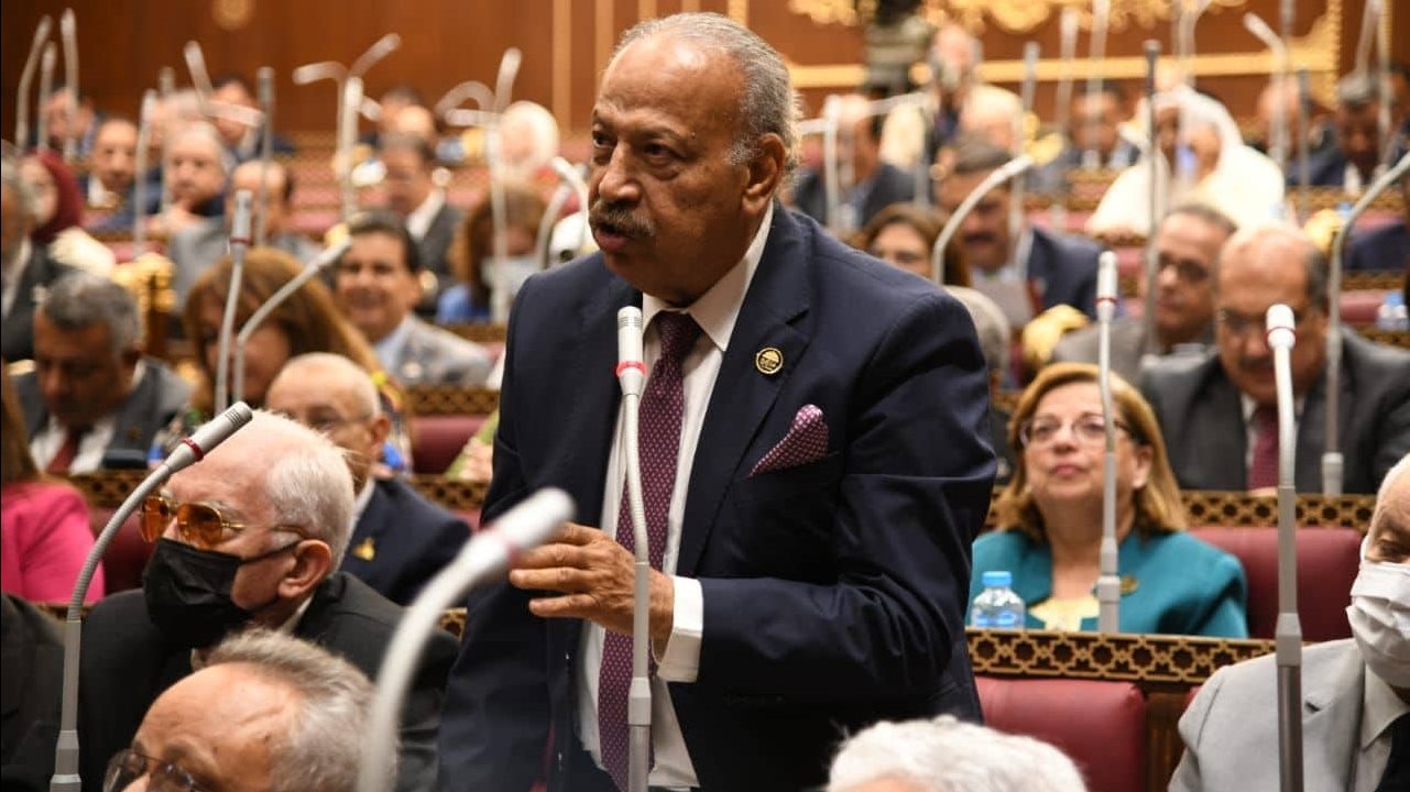  المهندس هاني العسال، عضو مجلس الشيوخ