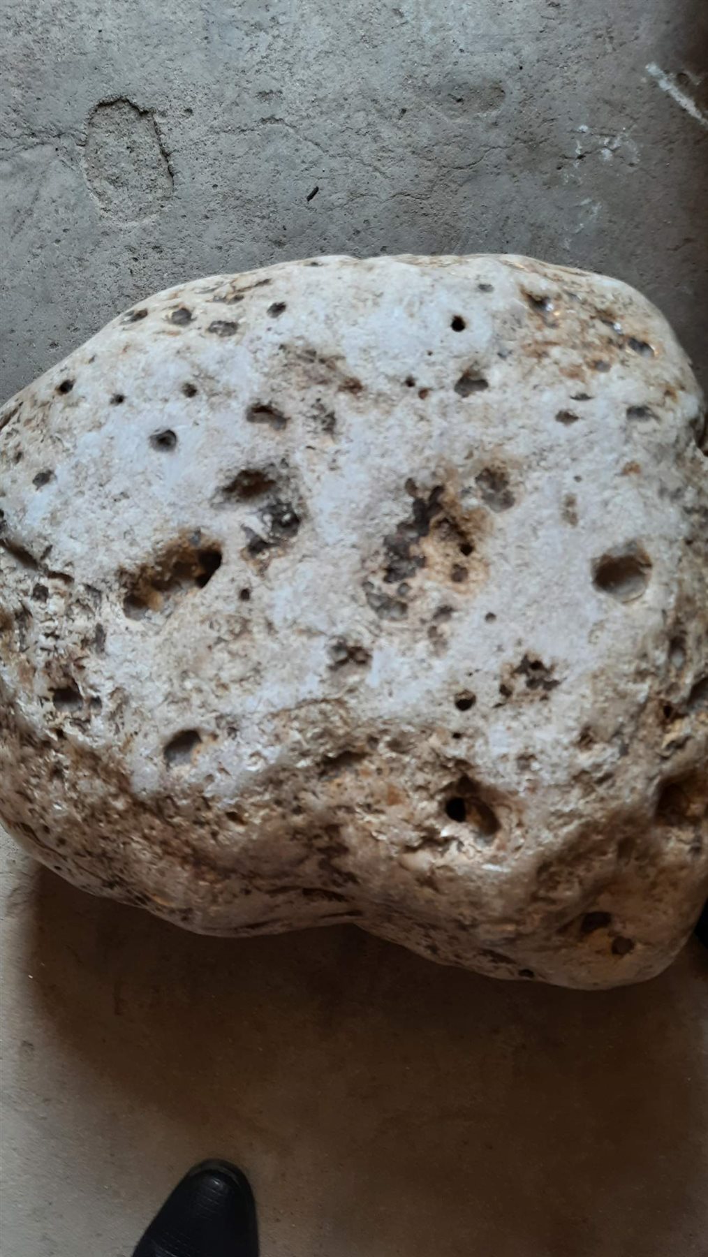 0_٢٠٢١٠٨٠٣_١٢٤٤٥٠_١١٤٤٥٤