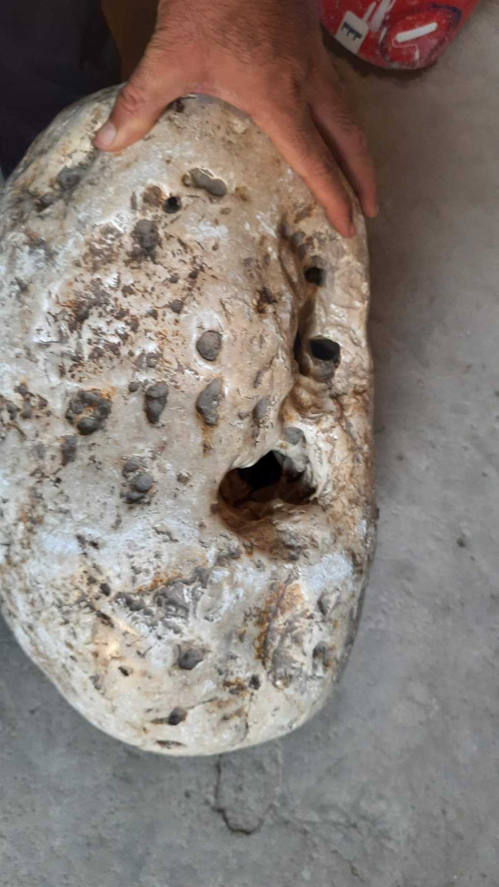 0_٢٠٢١٠٨٠٣_١٢٤٣٣٩_١١٤٤٤٩